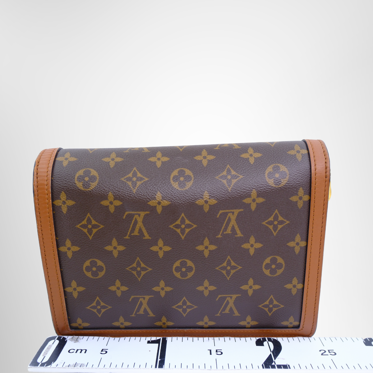Louis Vuitton Dauphine MM Monogram Canvas Bag – Pre-Owned Luxury Brand Bag – Antonio & Co – Back View
