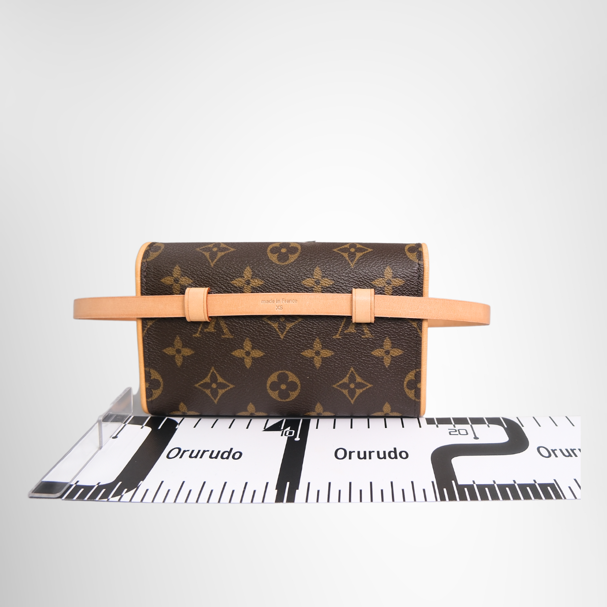 Louis Vuitton Pochette Florentine Monogram Belt Bag