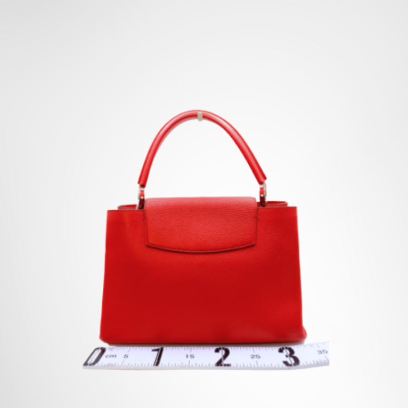 Louis Vuitton Preowned Luxury Capucines MM Bag Back View - Antonio & Co.