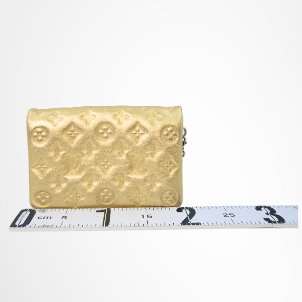 Louis Vuitton Preowned Luxury Pochette Coussin Back View