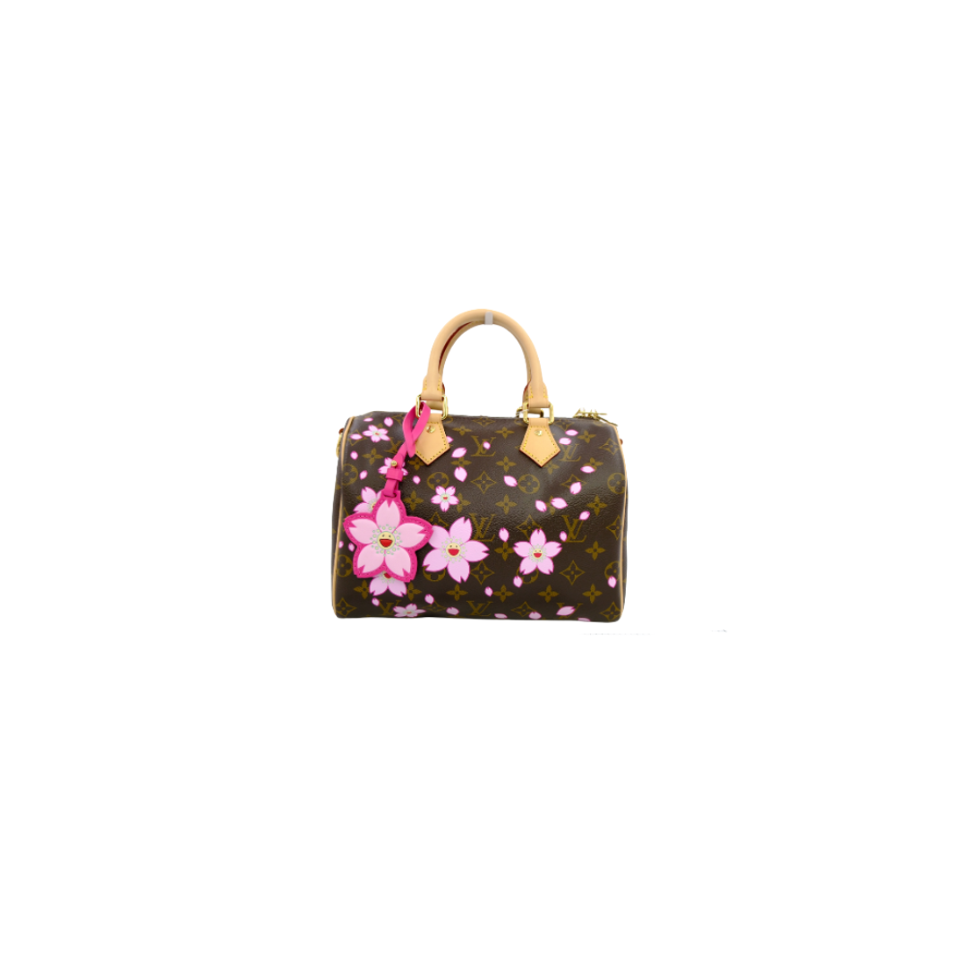 Louis Vuitton Preowned Luxury Speedy Bandoulière 25 Front View