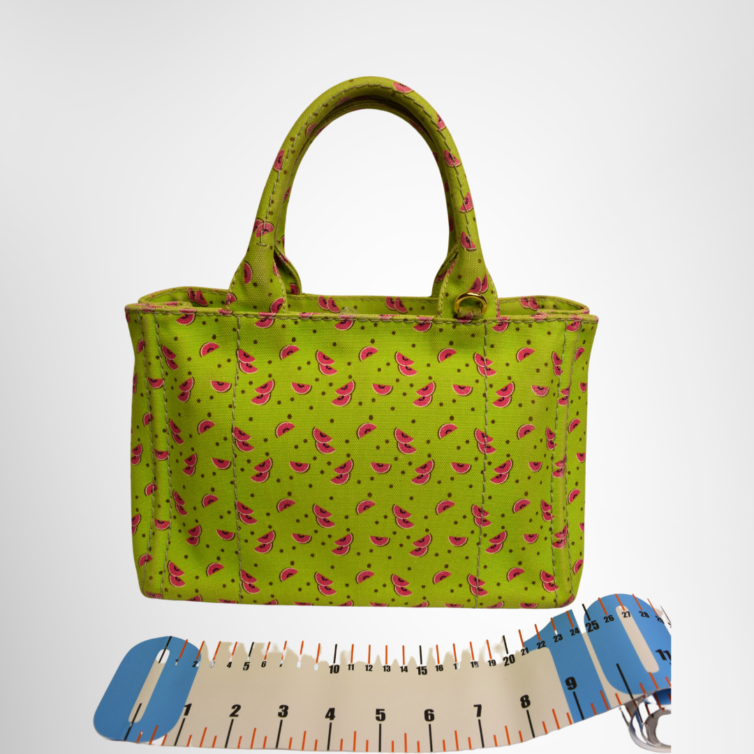 Prada Preowned Luxury Bag Canapa Watermelon Print Mini Tote Back View