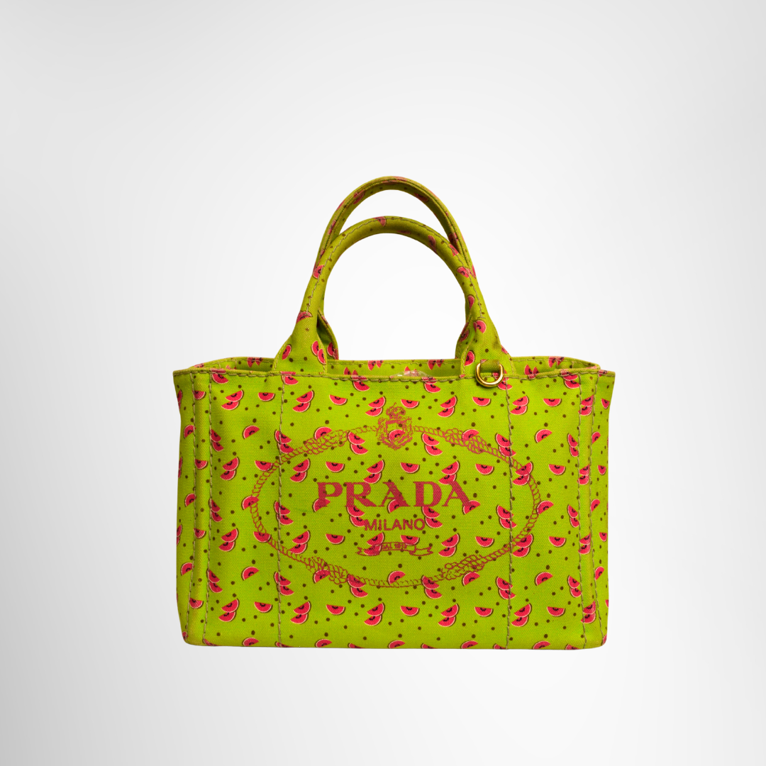 Prada Preowned Luxury Bag Canapa Watermelon Print Mini Tote Front View