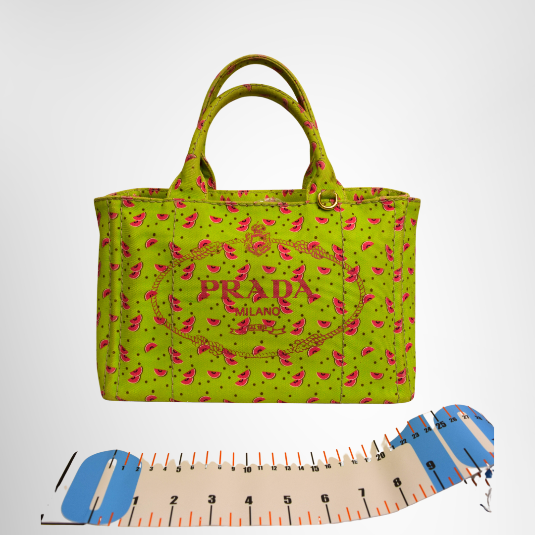 Prada Preowned Luxury Bag Canapa Watermelon Print Mini Tote Front View 2