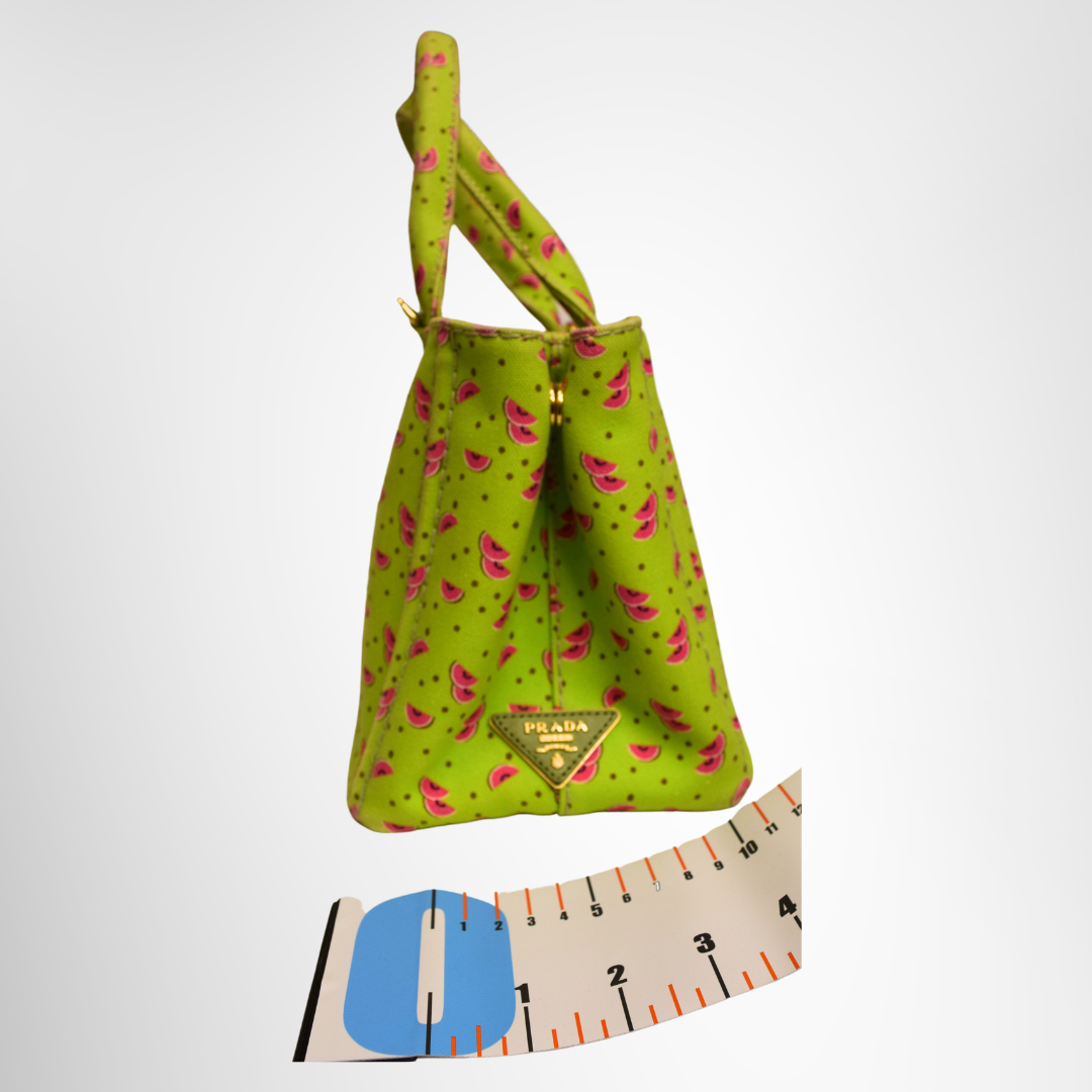 Prada Preowned Luxury Bag Canapa Watermelon Print Mini Tote Side View