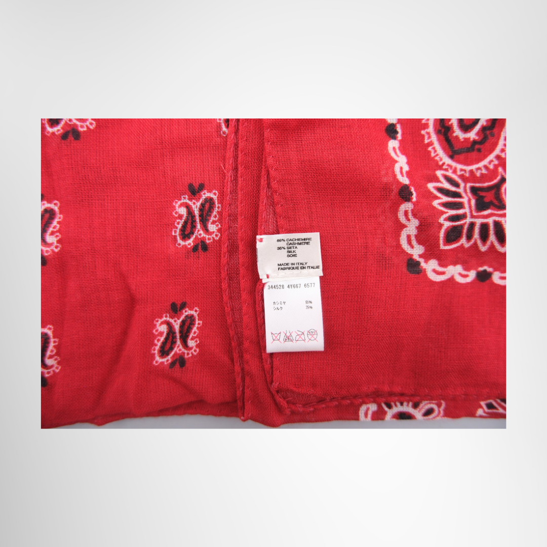 Red Paisley Bandana