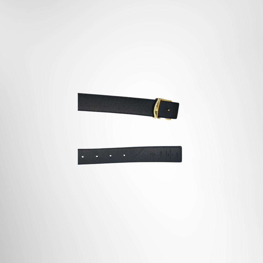 Reversible Belt
