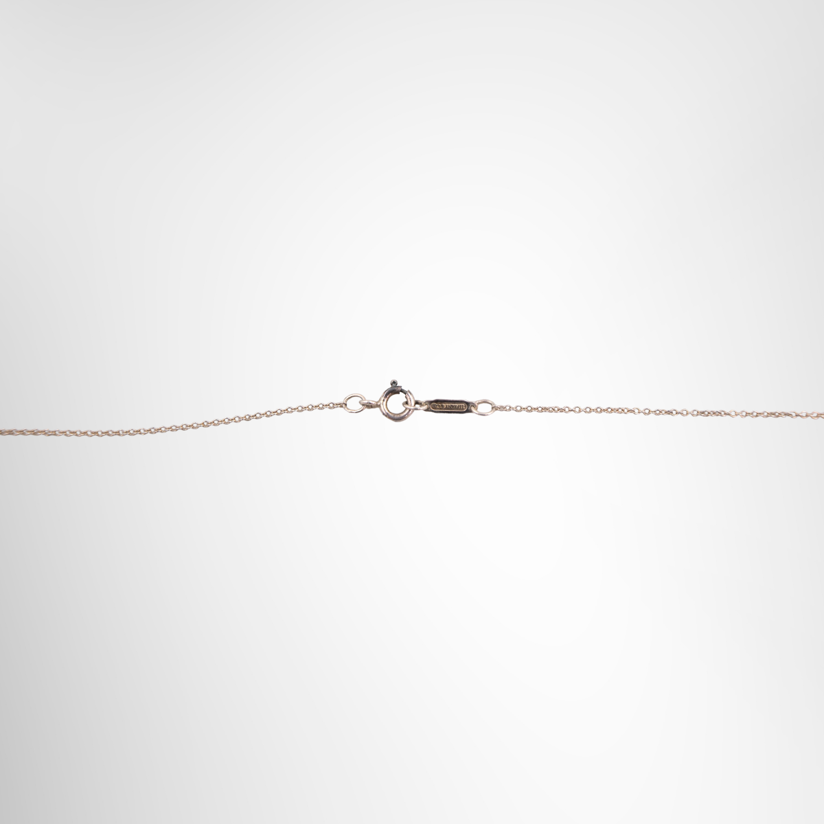 Enchant Heart Key Necklace
