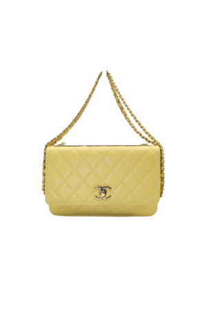 Shoulder Wallet on Chain